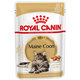 Royal Canin FBN WET MAINECOON kapsičky pre mainske mývalie mačky 12 x 85g