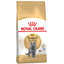Royal Canin FBN BRITISH SHORTHAIR granule pre britské krátkosrsté mačky 2kg