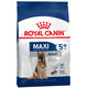 Royal Canin SHN MAXI ADULT 5+ granule pre veľké psy 15kg