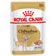 Royal Canin CHIHUAHUA kapsičky pre čivavy 12 x 85g
