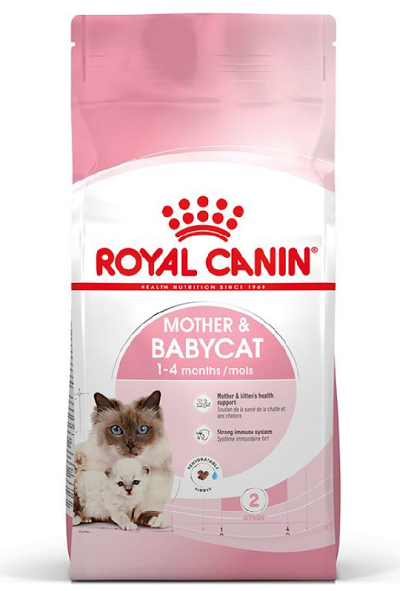 E-shop Royal Canin FHN BABYCAT granule pre gravidné mačky a mačiatka 4kg