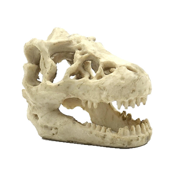 REPTILE NOVA úkryt do terária lebka T-REX malá 16x11x9cm