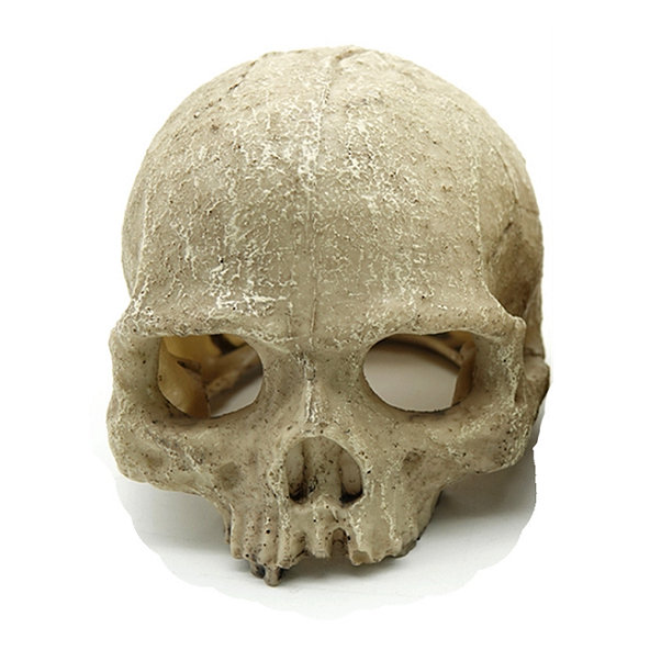 REPTILE NOVA úkryt do terária ľudská lebka 11x14cm