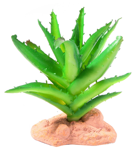 E-shop REPTILE NOVA Plastová rastlina do terária - Aloe Vera 13cm