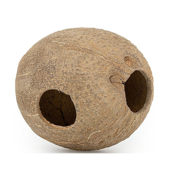 Happet Kokosová škrupina - celá, brúsená