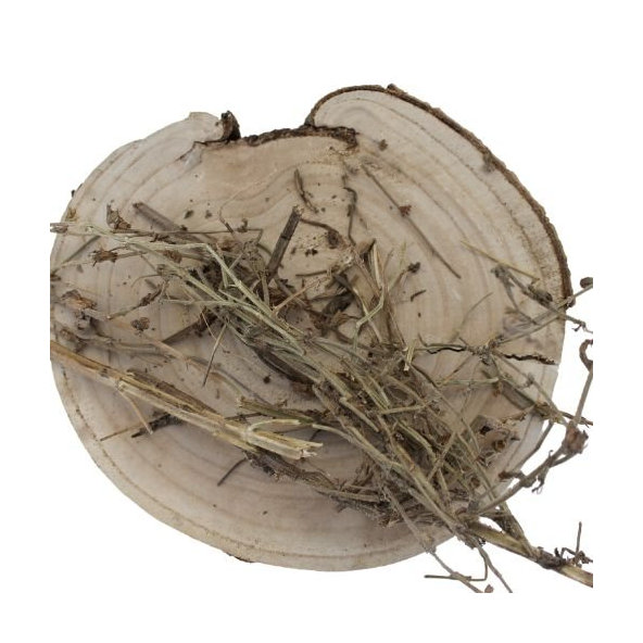 Pŕhľava dvojdomá, žihľava - list narezaný - Urtica dioica - Folium urticae