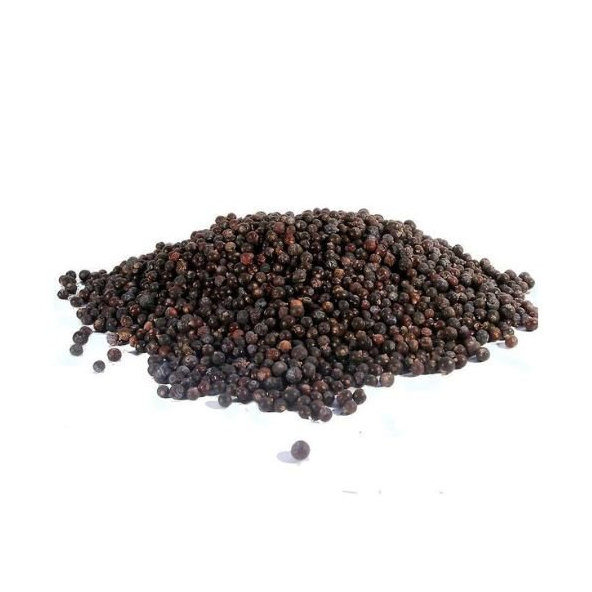 Borievka obyčajná - plod - Juniperus communis - Fructus juniperi