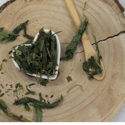 E-shop Medvedí cesnak - list celý - Allium ursinum - Herba allii ursini