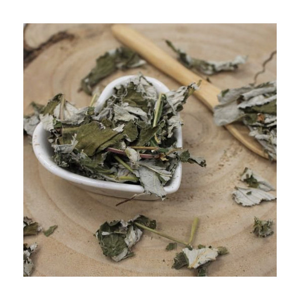 Ostružina malinová - list celý - Rubus idaeus - Folium rubi idaei