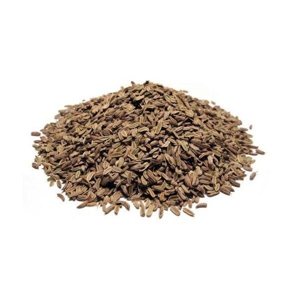 Fenikel sladký - plod celý - Foeniculum vulgare - Fructus foeniculi