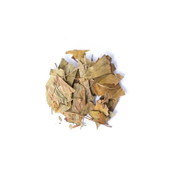 Ginko dvojlaločné - list celý - Ginkgo biloba - Folium ginkgo