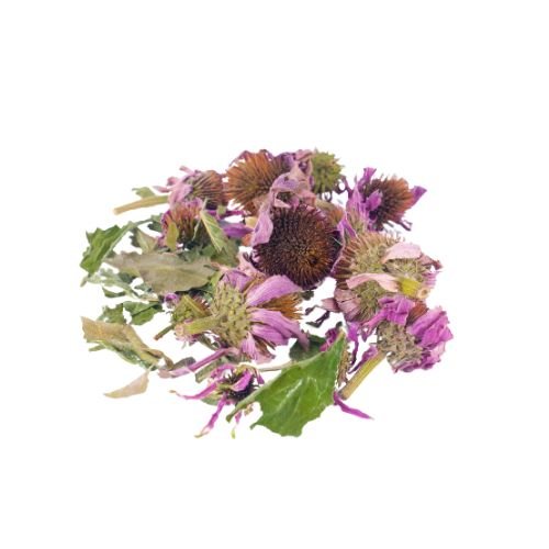 E-shop Echinacea purpurová - kvet celý - Echinacea purpurea - Flos echinaceae