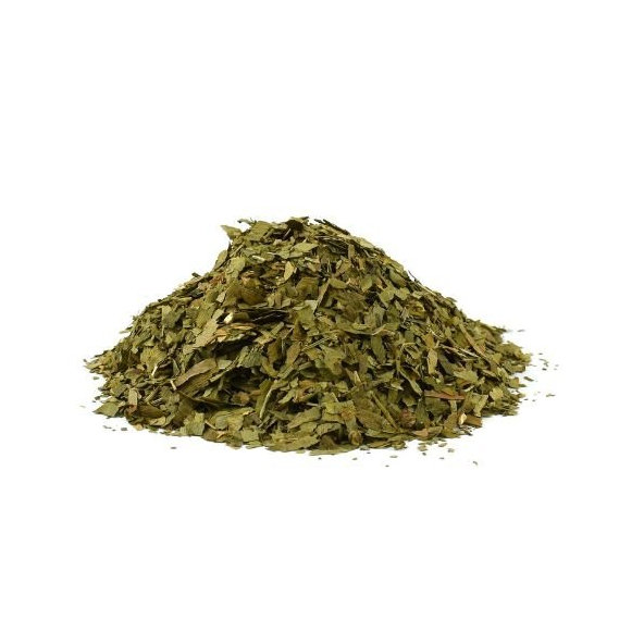 Ginko dvojlaločné - list narezaný - Ginkgo biloba - Folium ginkgo