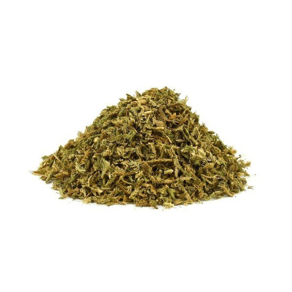 Plavúň obyčajný - vňať narezaná - Lycopodium clavatum - Herba lycopodii