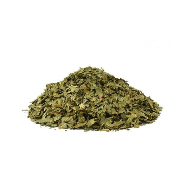 Ríbezľa čierna - list narezaný - Ribes nigrum - Folium ribes nigri