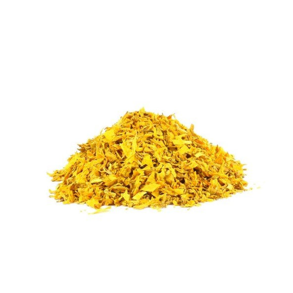 Slnečnica ročná - kvet rezaný - Helianthus annus - Flos helianthi