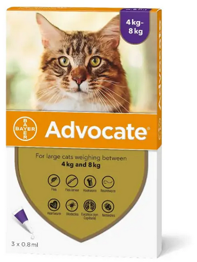 E-shop Advocate spot-on pipeta pre veľké mačky proti parazitom 3x0,8ml