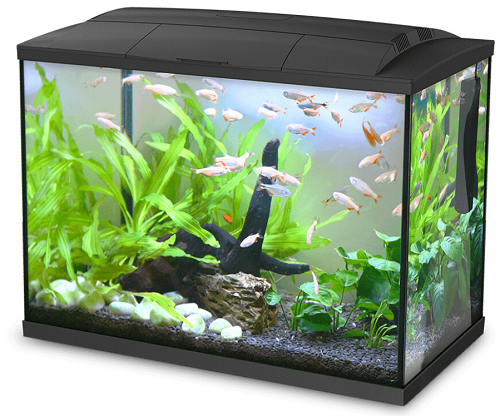 E-shop Happet akvárium K60 s objemom 60 litrov vrátane LED osvetlenia a filtra