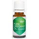 HEPATICA PURE OREGANO OIL