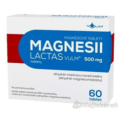 MAGNESII LACTAS VULM 500mg, 60 ks