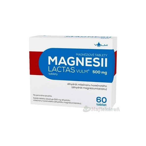 MAGNESII LACTAS VULM 500mg, 60 ks