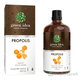 Green Idea PROPOLIS tinktúra kvapky 50 ml