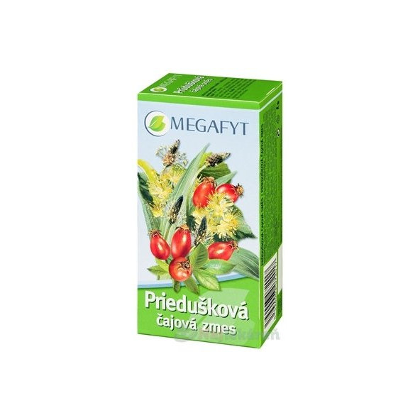 MEGAFYT Priedušková čajová zmes 20x1,5g