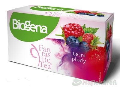 E-shop Biogena Fantastic Tea Lesné plody ovocný čaj 20x2,2 g
