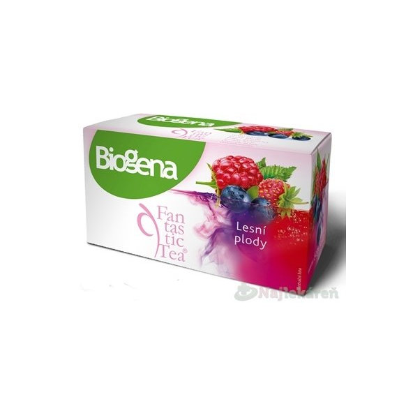 Biogena Fantastic Tea Lesné plody ovocný čaj 20x2,2 g