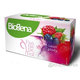 Biogena Fantastic Tea Lesné plody ovocný čaj 20x2,2 g