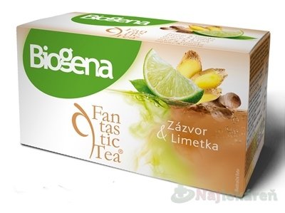 E-shop Biogena Fantastic Tea Zázvor & Limetka ovocný čaj 20x2 g