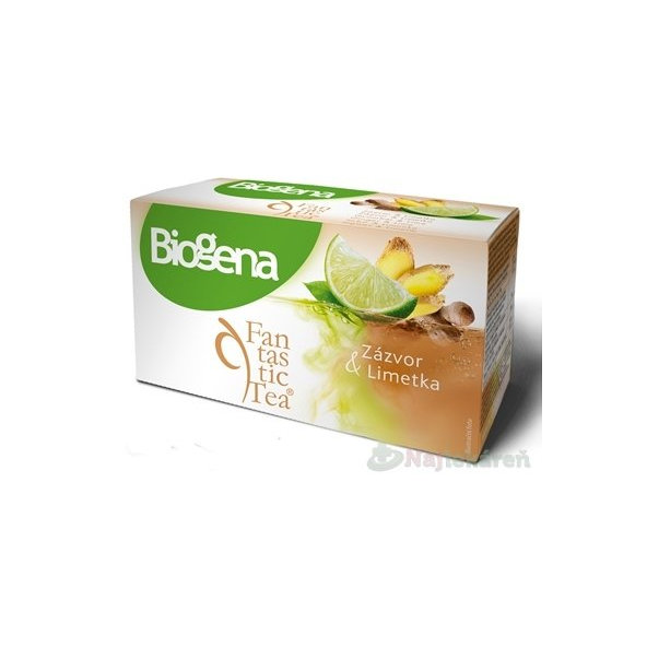 Biogena Fantastic Tea Zázvor & Limetka ovocný čaj 20x2 g