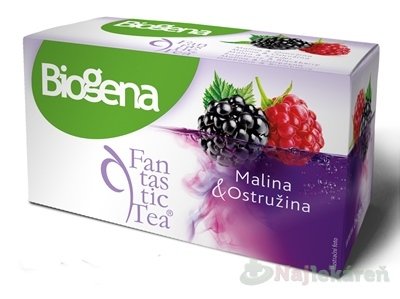 E-shop Biogena Fantastic Tea Malina & Ostružina ovocný čaj 20x2,2 g
