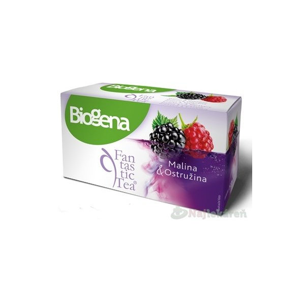 Biogena Fantastic Tea Malina & Ostružina ovocný čaj 20x2,2 g