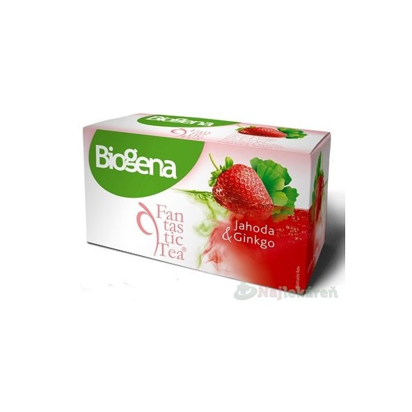 Biogena Fantastic Tea Jahoda & Ginkgo bylinný čaj 20x2g