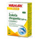 WALMARK Žraločia chrupavka PLUS 740 mg, cps 1x30 ks