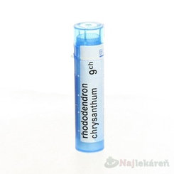 RHODODENDRON CHRYSANTHUM GRA HOM CH9, proti reumatologickým bolestiam, 1x4 g