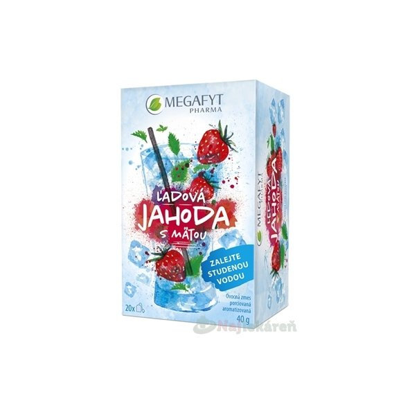 MEGAFYT Ľadová jahoda s mätou, ovocná zmes, 20x2g