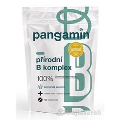 PANGAMIN PRÍRODNÝ B-KOMPLEX 120 ks