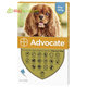 Advocate spot-on pipeta pre stredné psy proti parazitom 3x1ml