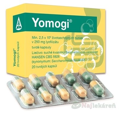 E-shop Yomogi na liečbu akútnej hnačky 250mg 20 kapsúl