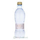 ROYAL Daily Ion Water pH 8,5 (+), 0,5l