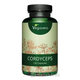 Vegavero CORDYCEPS 500 mg