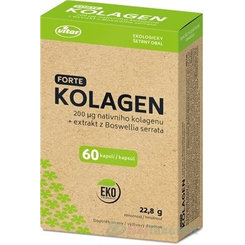 VITAR KOLAGÉN FORTE + extrakt z Boswellia serrata, 60 cps