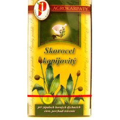 Agrokarpaty čaj Skorocel kopijovitý 20 x 2 g