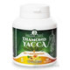 DIAMOND YACCA + B17 + resveratrol, 90 ks