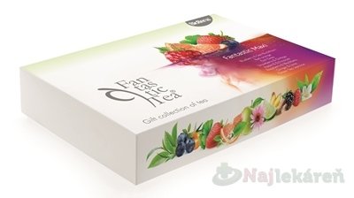 E-shop Biogena Fantastic Tea Maxi mix ovocných a bylinných čajov 8x8ks