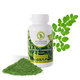 Moringa Caribbean, prášok 100g