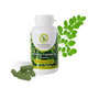 Moringa Caribbean STANDARD 60cps