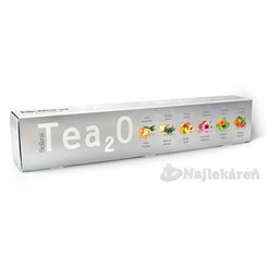 Biogena Tea2O MAXI kolekcia čajov 60ks